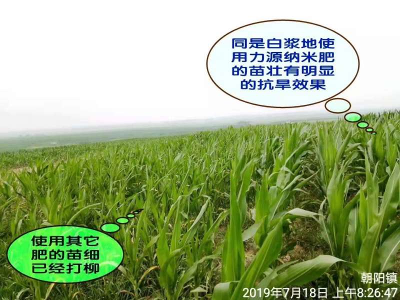 &#38886;&#24503;&#32593;&#31449;&#45;&#40;&#20013;&#22269;&#41;&#26377;&#38480;&#36131;&#20219;&#38886;&#24503;&#32593;&#31449;